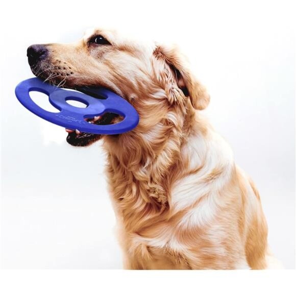 SuperChewy Tough Tug-of-War Flying Disc Toy | Strong Natural Rubber | Great Tug - Picture 5 of 6